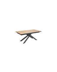 TABLE PLATEAU CERAMIQUE